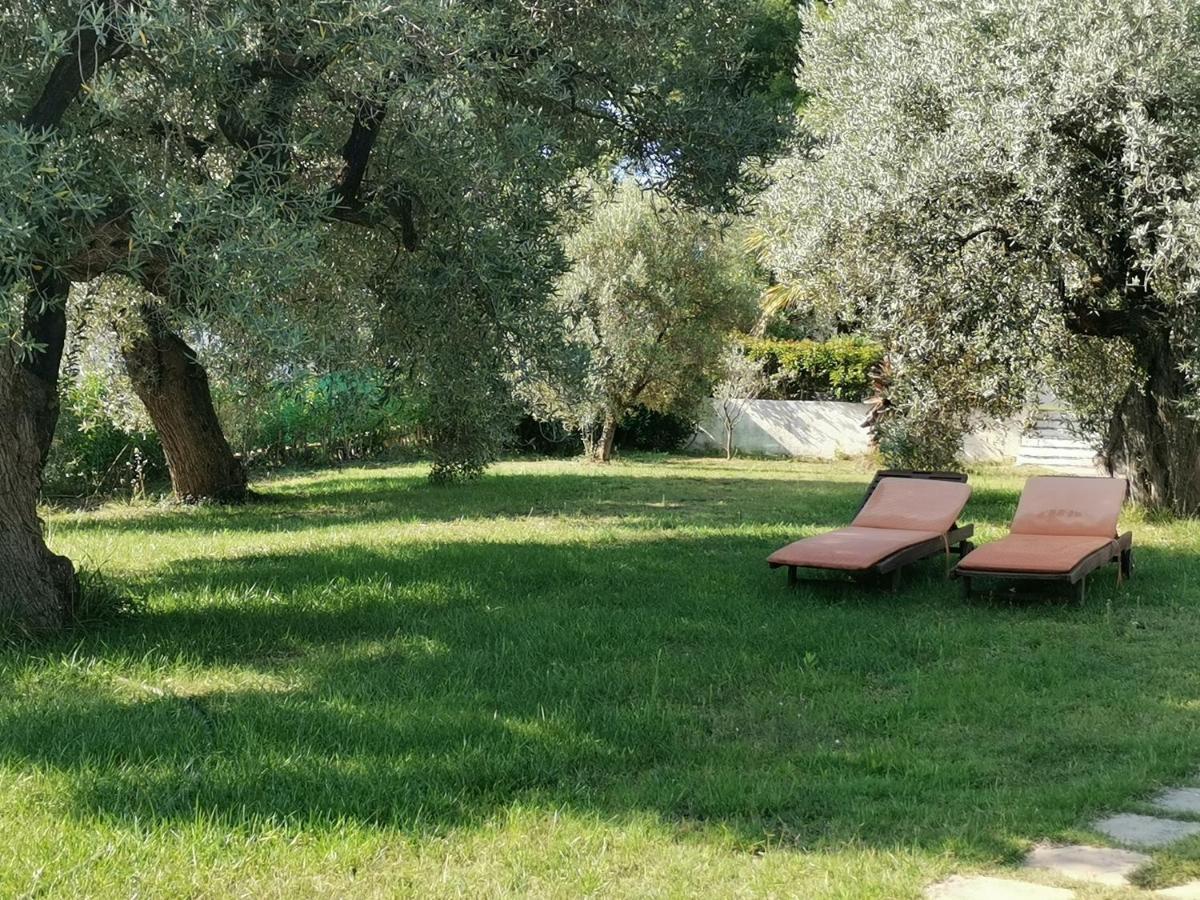 Villa Askamnia And Suites نيكيتي المظهر الخارجي الصورة