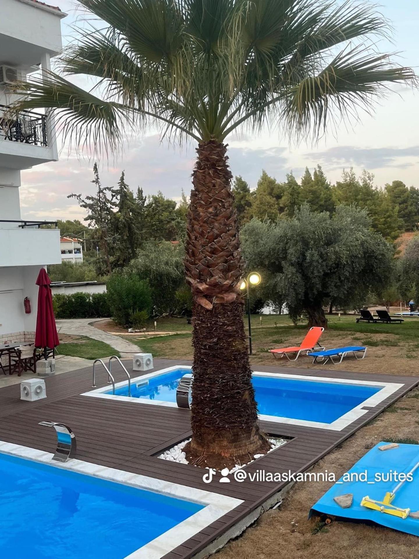 Villa Askamnia And Suites نيكيتي المظهر الخارجي الصورة