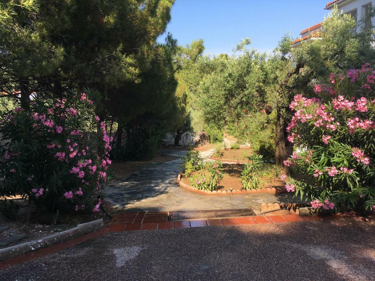 Villa Askamnia And Suites نيكيتي المظهر الخارجي الصورة